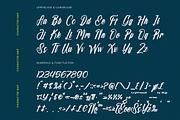 Chunky Slandis Bold Handwritten Font, a Script Font by stylishtype.co (Thumbnail 19 of 20)