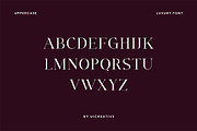 Ignacio Maverick Elegant Serif Font, a Serif Font by UICreative (Thumbnail 4 of 13)