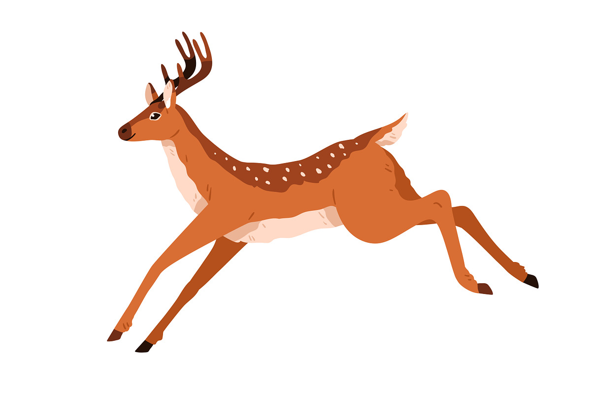Cute deer childish cartoon set, an Animal Illustration by Good Studio (Photo 5 of 7)