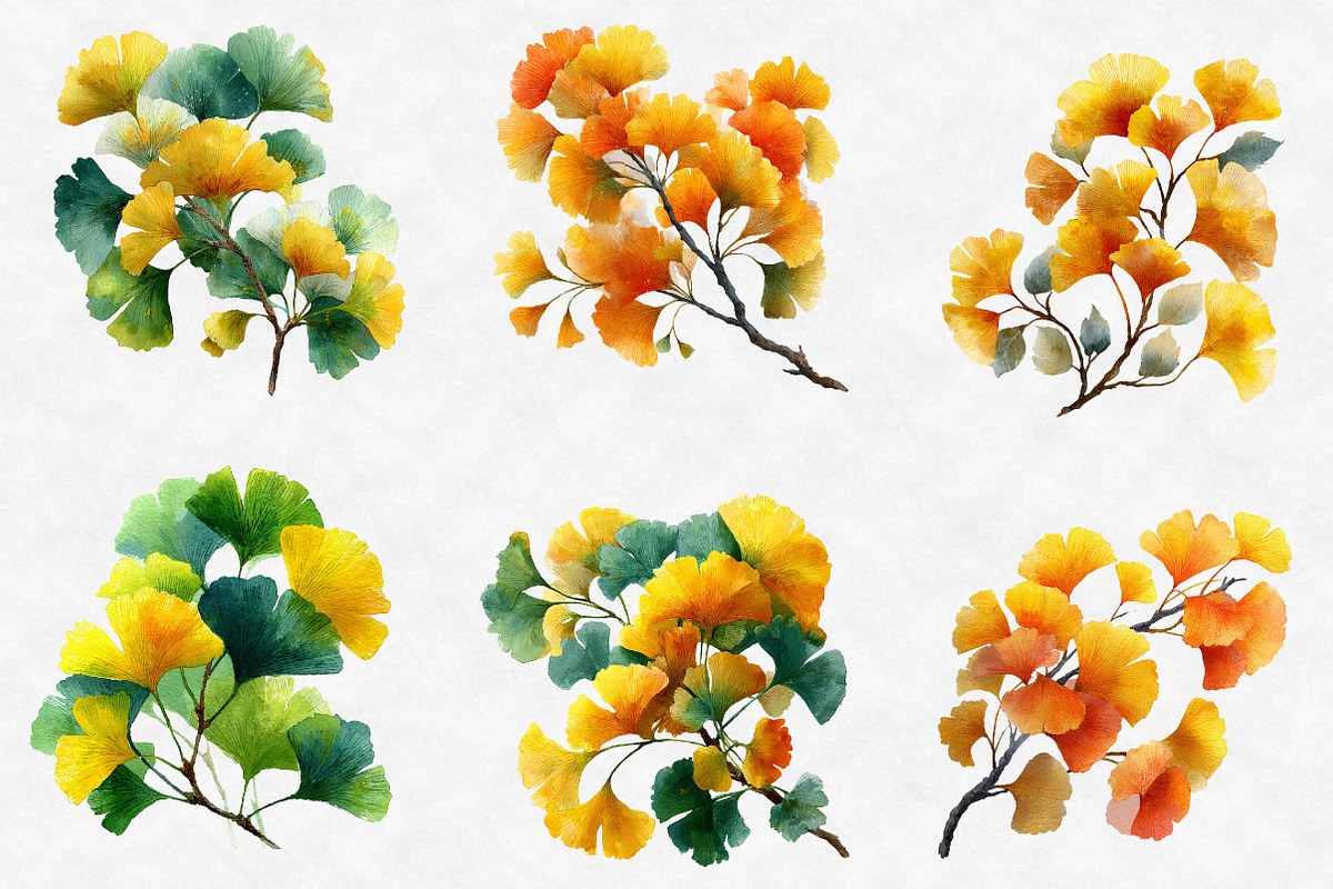 Watercolor Ginkgo Clipart, an Illustration by Designworld (Photo 3 of 6)