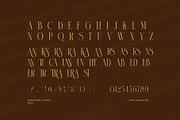 Romance Elegant Serif Font, a Serif Font by Graphicxell (Thumbnail 8 of 8)