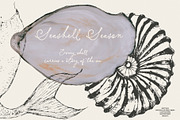 Seashell Season – Coastal Pack, an Object Graphic by Purple (Thumbnail 10 of 12)