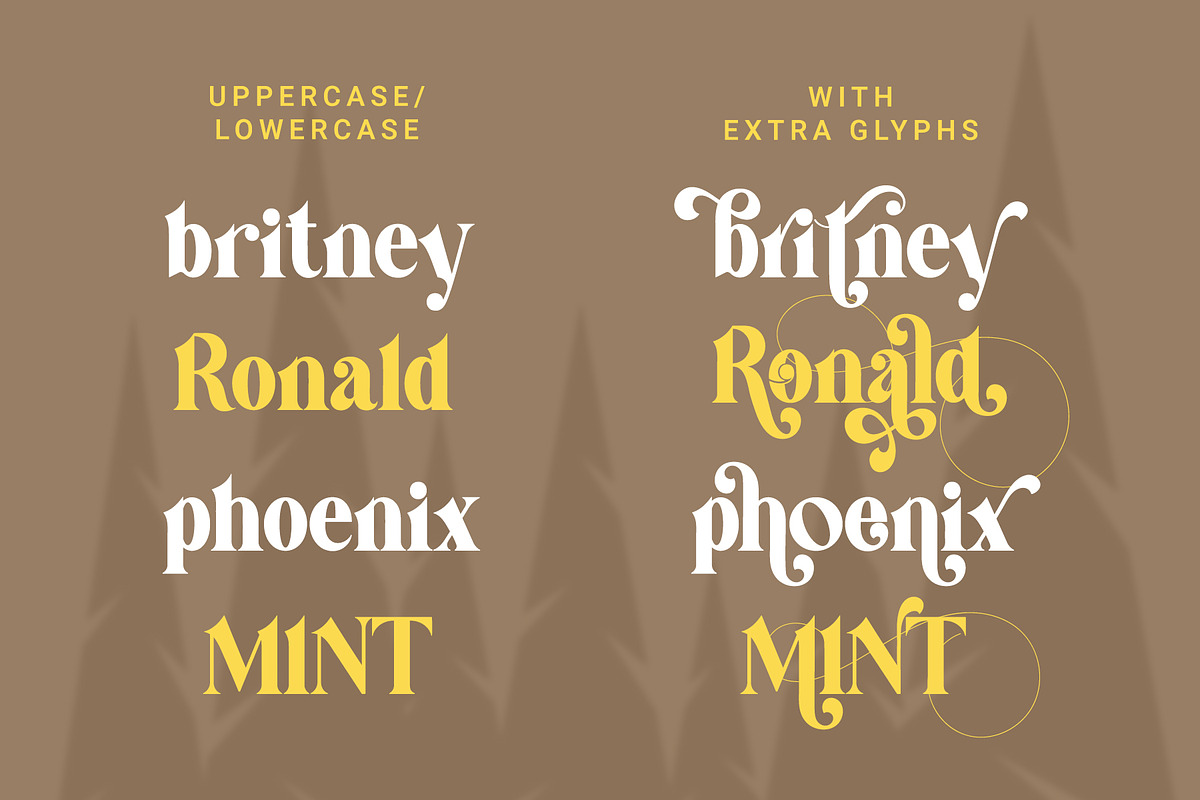 Vanilla Right - Modern Serif Font, a Serif Font by Airotype (Photo 13 of 18)