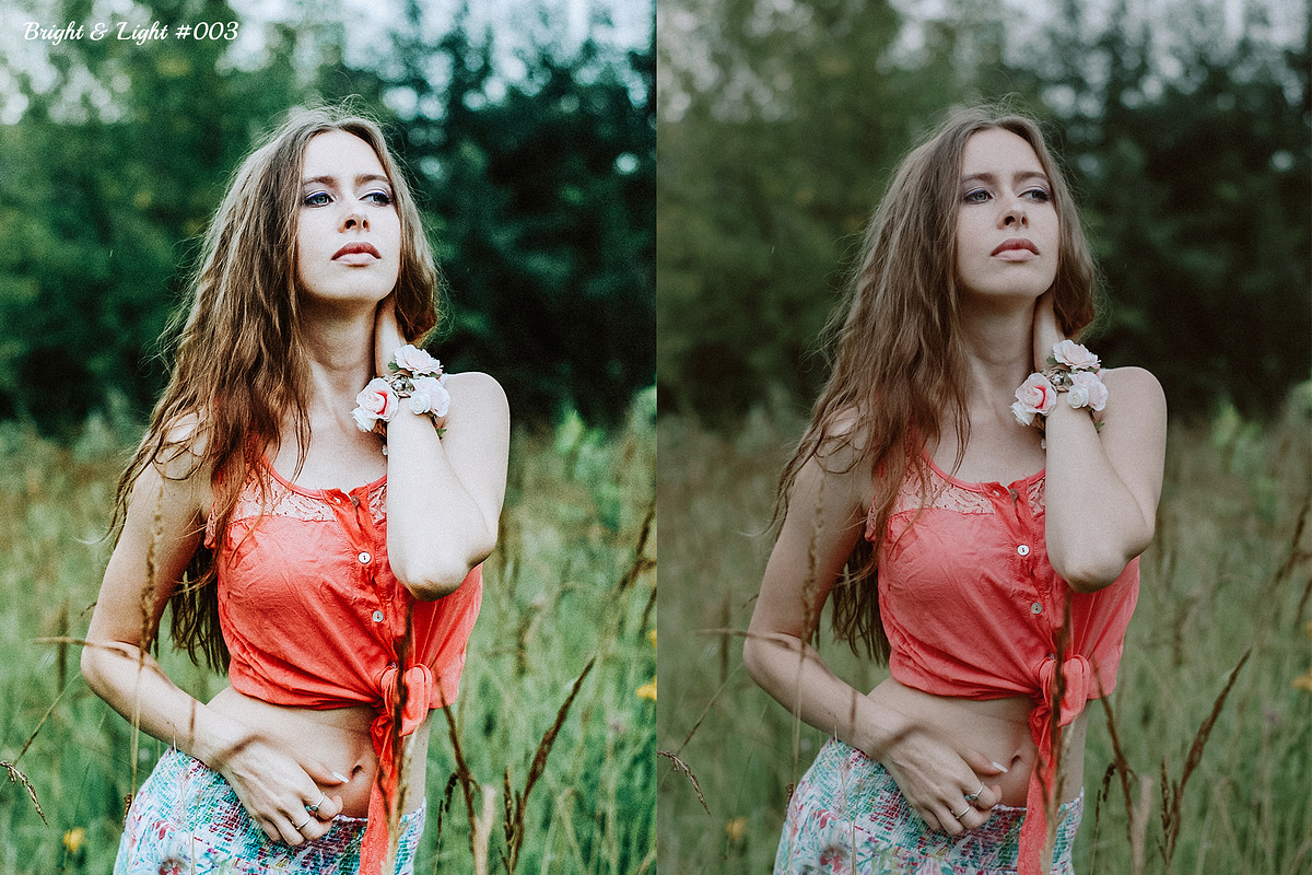 Bright & Light Presets Collection, an Action Add-On by Andit themes (Photo 3 of 13)