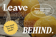 South Costalina, a Font by Youngtype.Std (Thumbnail 5 of 11)