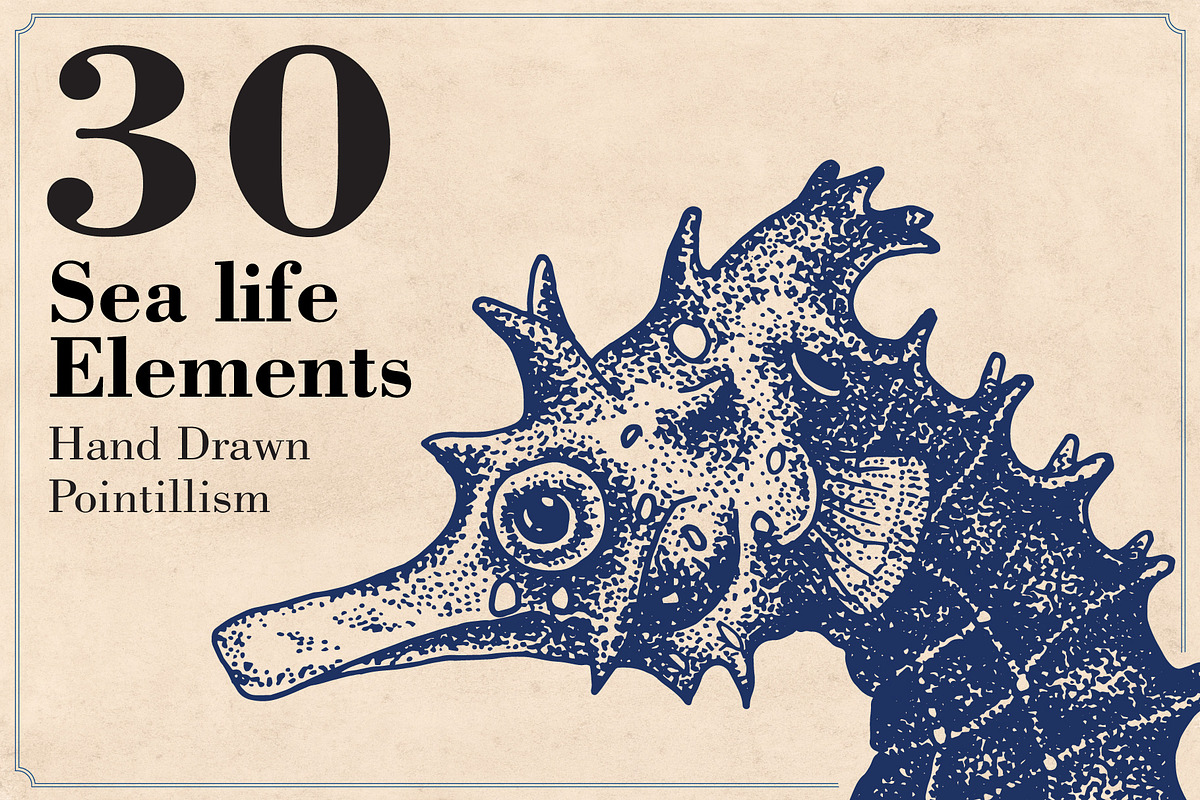 Marine Animal Hand Drawn Elements, an Animal Illustration by Artolabs (Photo 1 of 6)