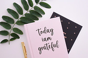 Lansonia, a Script Font by Bosstype Studio (Thumbnail 2 of 8)