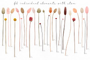 Big romantic dried flower set, a Texture Illustration by marie dricot (Thumbnail 12 of 18)