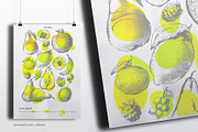 Fruits collection, an Object Graphic by Siosay (Thumbnail 6 of 8)