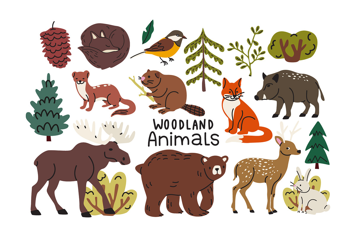 Woodland Animals Clipart Vector Set, an Animal Illustration by Luamor (Photo 3 of 5)