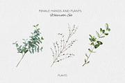 Female Hands and Plants Watercolor, a Person Illustration by Yakovleva Margarita (Thumbnail 8 of 9)