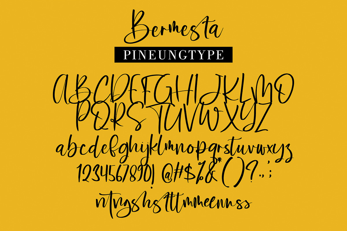 Bermesta, a Script Font by pineungtype (Photo 8 of 8)
