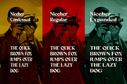 Niecher-Serif Display, a Serif Font by takoliko (Thumbnail 8 of 13)