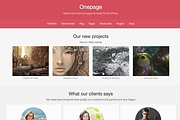 Onepage Premium, a WordPress Template by Iografica Themes (Thumbnail 2 of 2)
