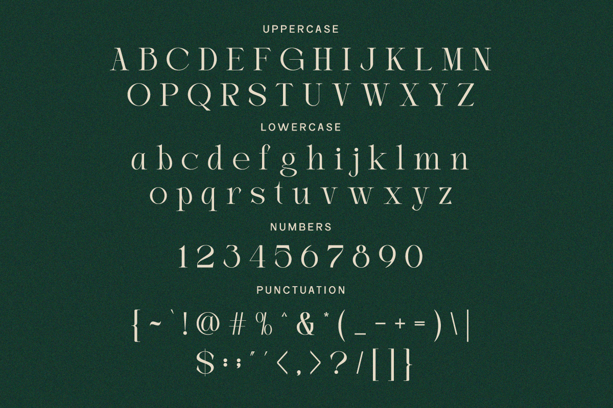 Ligature Elegant Serif - Haggia, a Serif Font by Font Liner (Photo 8 of 8)