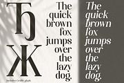Sydney Sweeney, a Serif Font by Slex Studio (Thumbnail 2 of 12)