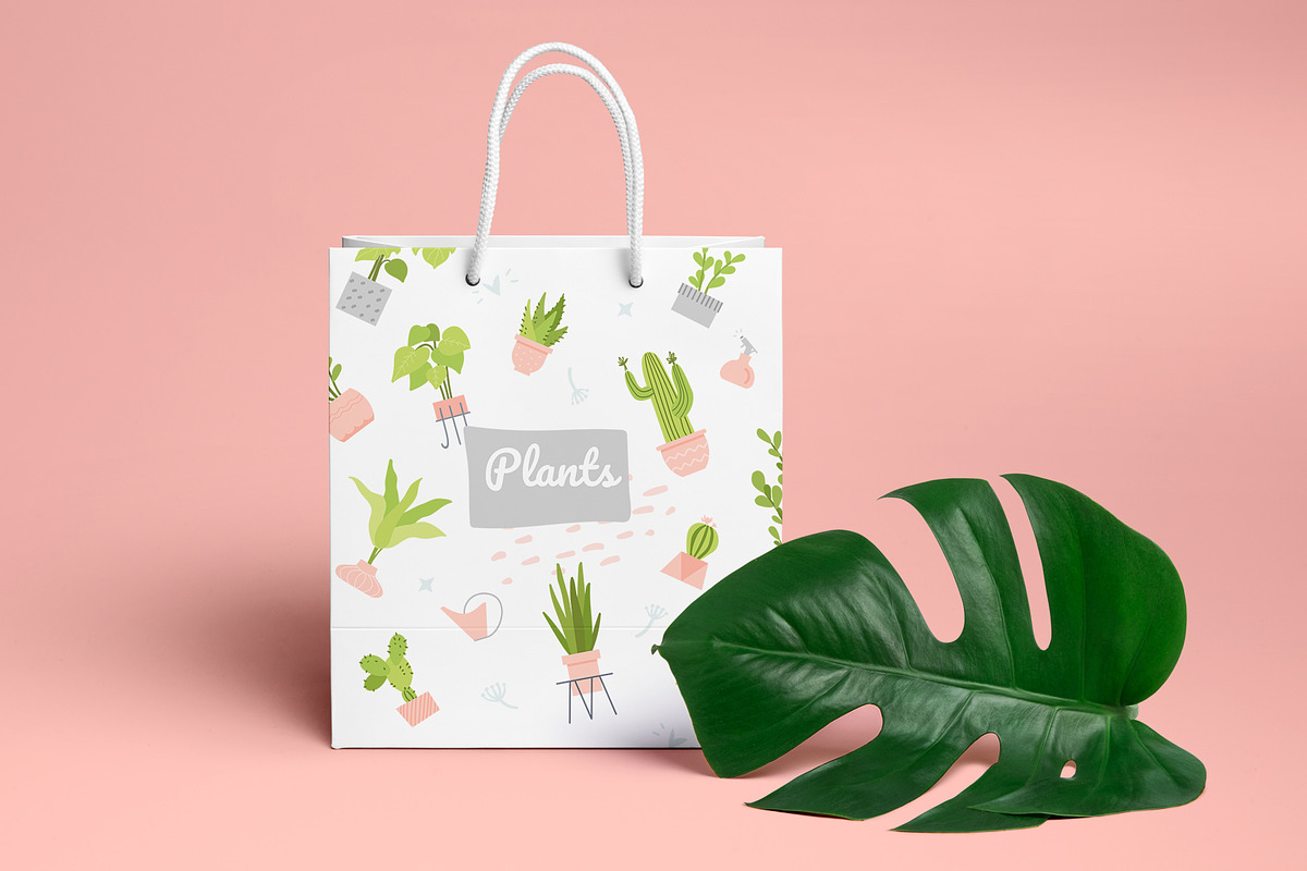 Potted Plants Bundle, a Templates & Theme by Boyko Pictures (Photo 8 of 12)