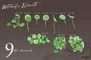 Modern Plants Design Kit, an Object Graphic by JSquarePresents (Thumbnail 12 of 18)