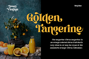 Brasty Vintage - Retro Serif Font, a Serif Font by Holyline Design (Thumbnail 2 of 16)