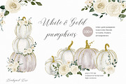 White & Gold Watercolor Pumpkins, a Texture Illustration by Backyard Rose (Thumbnail 1 of 11)