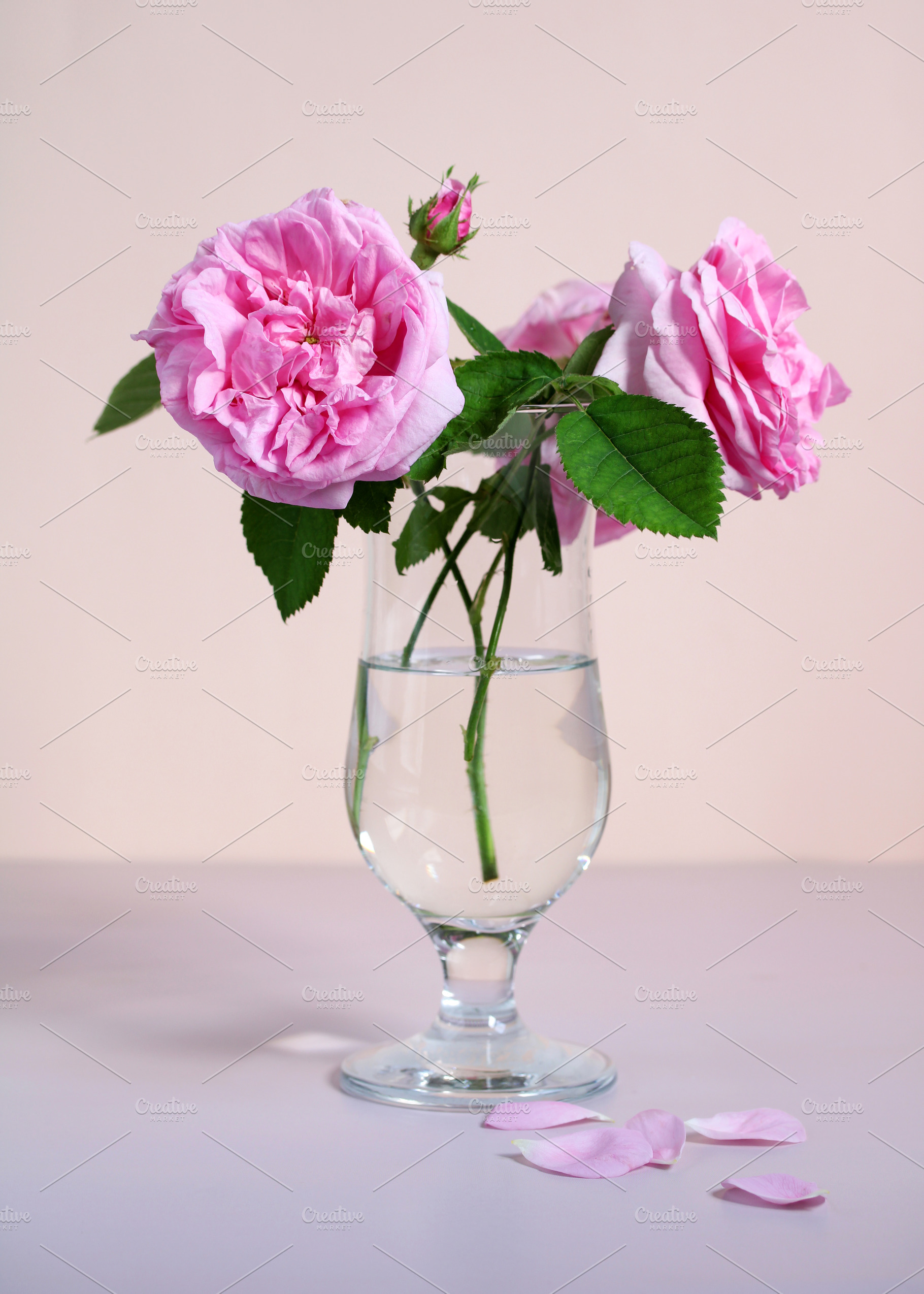Pink roses in a glass vase., a Photo by BalaguR