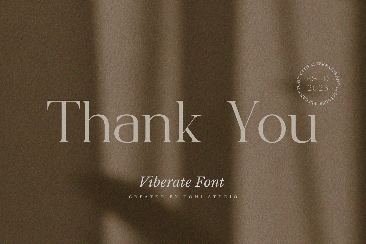 VIBERATE || ligature typeface, a Serif Font by ToniStudio (Photo 10 of 10)