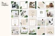 Crazy Plant Lady Instagram Template, a Social Media Template by thetrendytemplate (Thumbnail 4 of 5)