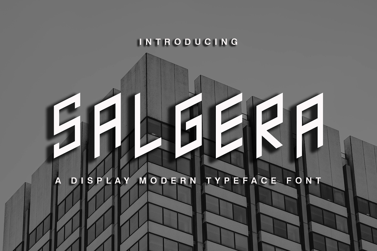 Salgera, a Font by Akatype Studio (Photo 1 of 8)