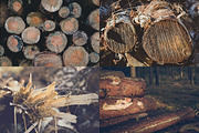WOOD LOGS (12 Premium Photos), an Industrial Photo by PhotoMarket (Thumbnail 4 of 4)
