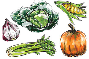 Set Of Fresh Vegetables, Drawing