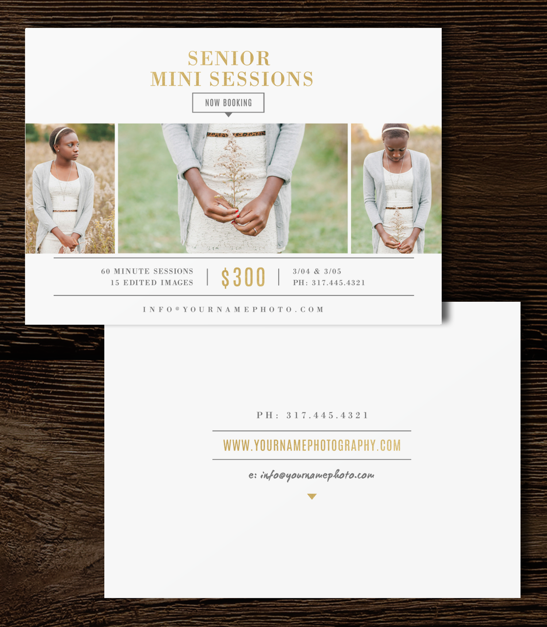 Senior Mini Session Template, a Flyer Template by roselindoco
