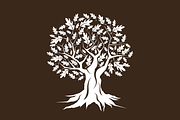 Vector oak tree silhouette, an Object Graphic by provector (Thumbnail 2 of 2)