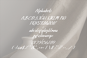 The Hollifate Font, a Script Font by ponuppo (Thumbnail 3 of 3)