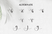 Dingbat | Script Font, a Handwritten Font by Scratchones (Thumbnail 8 of 9)