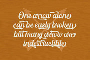 Vintage Feeling, a Script Font by Vintage Division (Thumbnail 2 of 10)