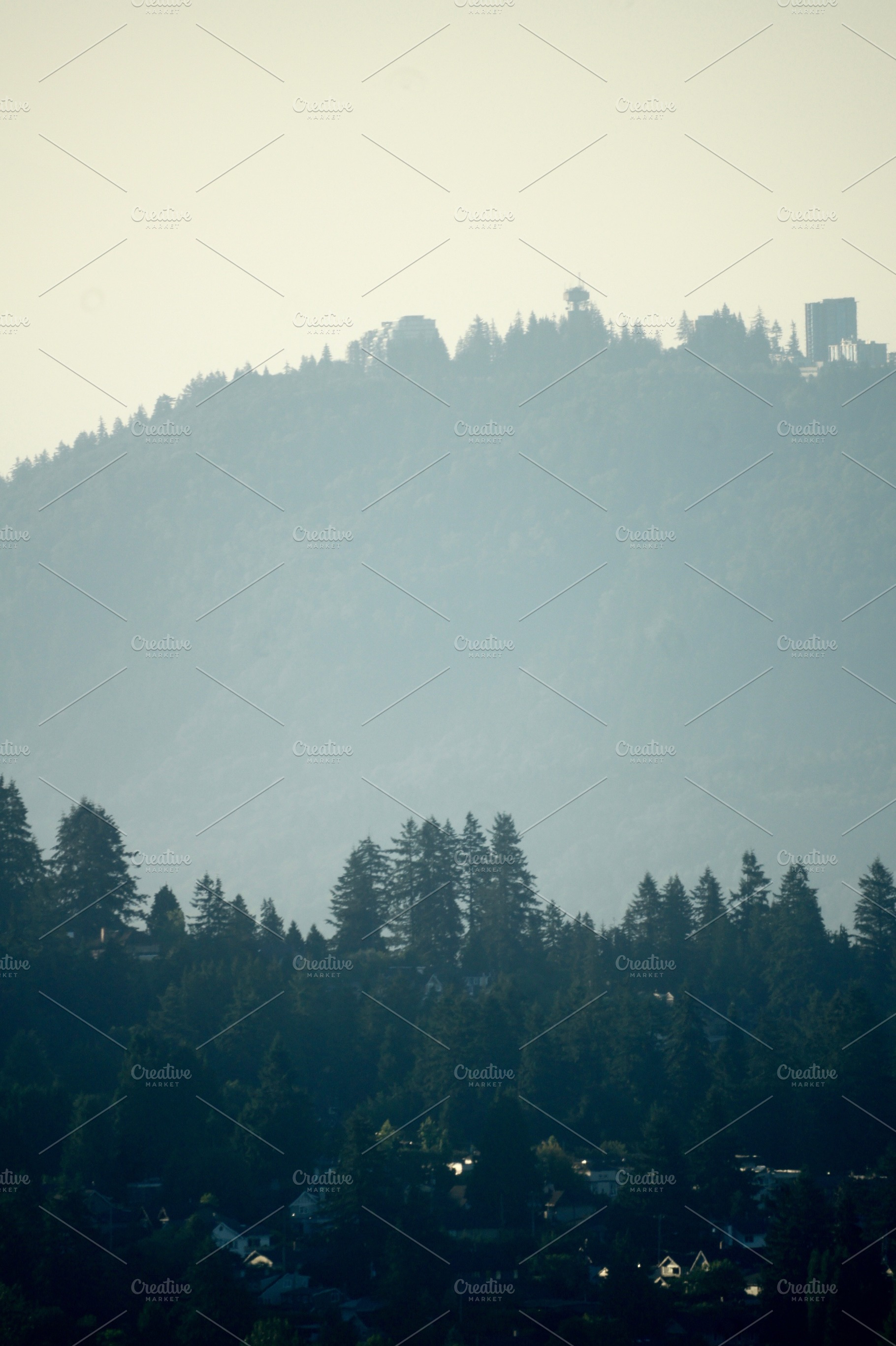 Mountains in canada stock photo containing nature and trees, a Nature Photo by alexedwards