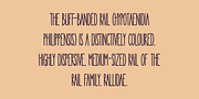Wunderb, a Handwritten Font by BerryType (Thumbnail 7 of 8)