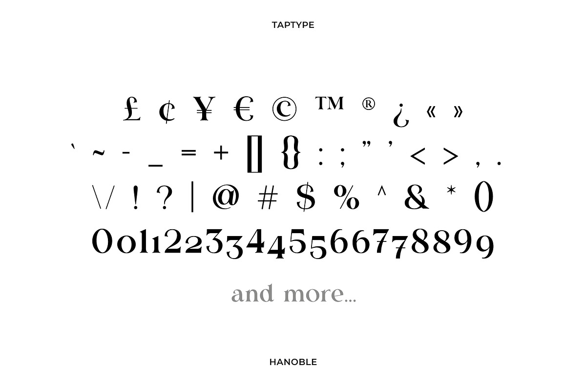 Hanoble - Modern Ligature Serif, a Serif Font by Vesvocrea (Photo 6 of 13)