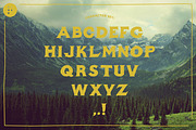 Wilton - Textured Flare Serif, a Serif Font by Ross Palumbo (Thumbnail 3 of 3)