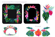 Birds of Paradise graphics/patterns, a Pattern Graphic by Salted Galaxy (Thumbnail 9 of 14)