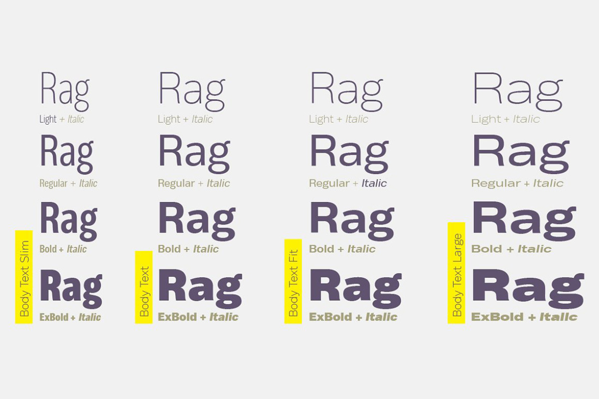 Body - 64 fonts, a Sans Serif Font by Zetafonts (Photo 12 of 12)