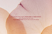 VEIL Flowers Collection, a Background Graphic by nkate (Thumbnail 4 of 13)