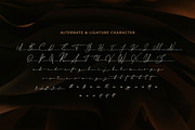 Donna Smith - Stylish Signature, a Script Font by Sarid Ezra (Thumbnail 9 of 10)