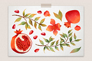 Watercolor Pomegranate clipart, a Decorative Illustration by LukaJreym (Thumbnail 2 of 10)