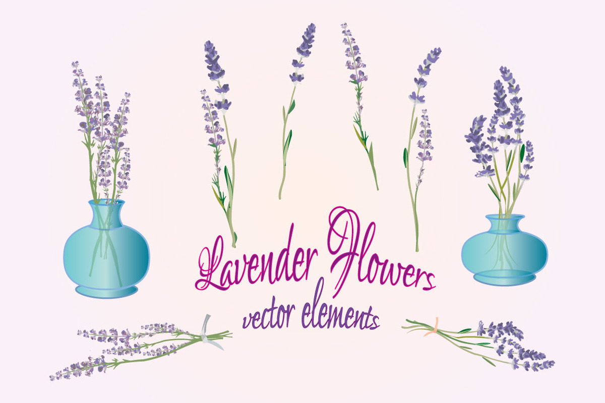Lavender Flowers Vector Elements, an Illustration by audeemirza