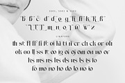 Qinferly, a Serif Font by Letterara (Thumbnail 12 of 14)
