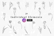 Procreate Flower Stamps Pack, a Brush Add-On by AW Studios (Thumbnail 5 of 7)