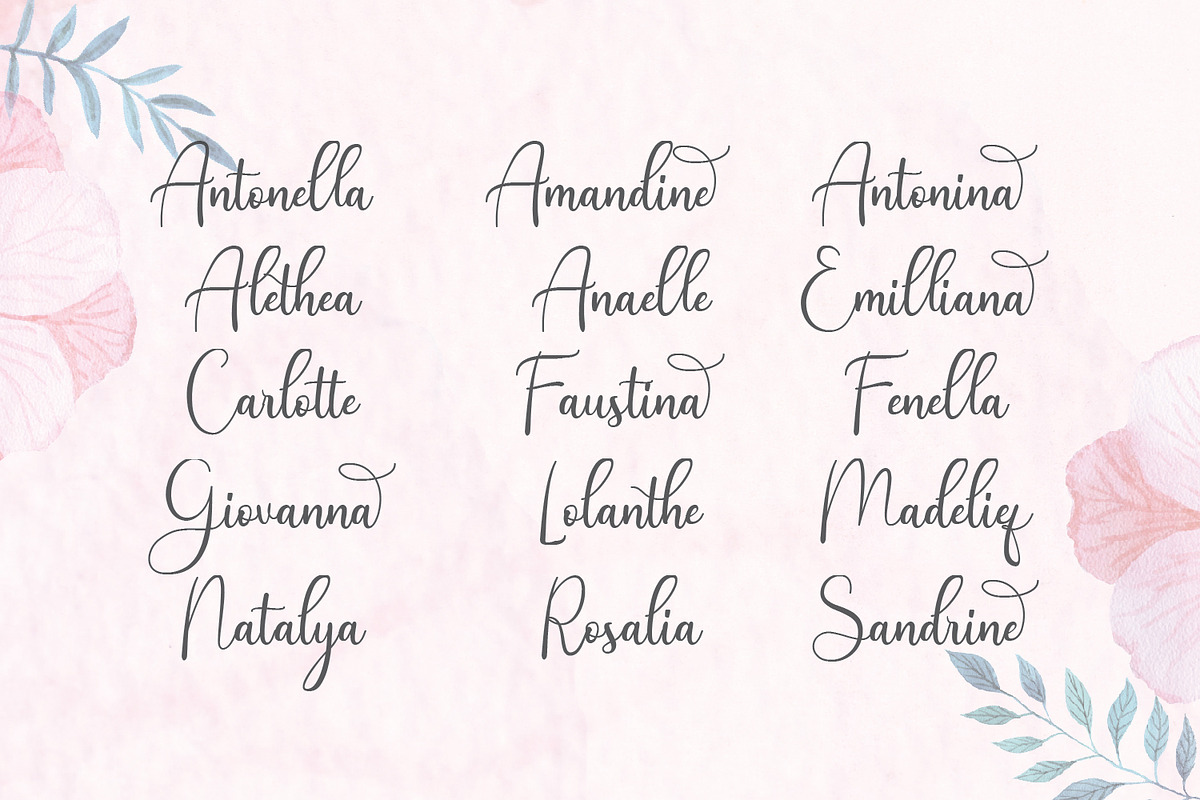 Andina - Modern Script Font preview 7