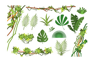 Jungle Vine. Cartoon Rainforest