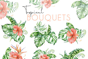 24 Tropical Bouquets Watercolor